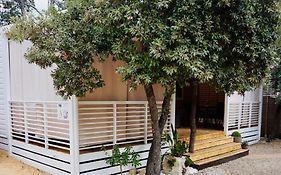 Adria Summer Home
